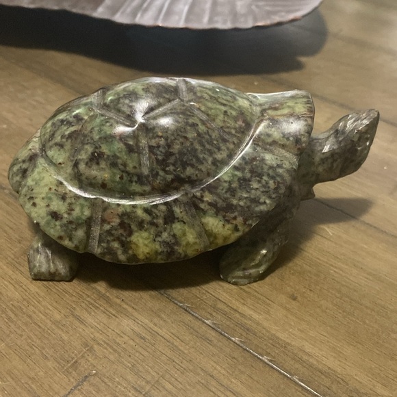 Fruit serpentine turtle. - Picture 3 of 7